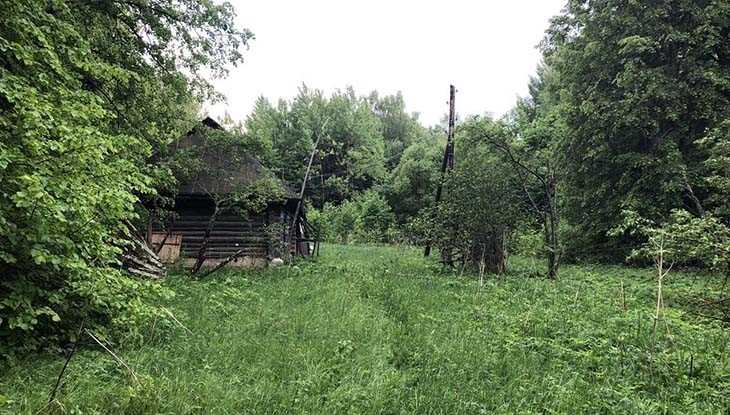 Каковы этапы и время проведения бесплатного межевания земельного участка?