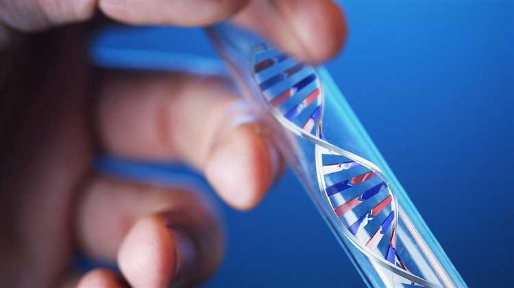 Какие возможности дает экспертиза ДНК на установление отцовства/материнства?