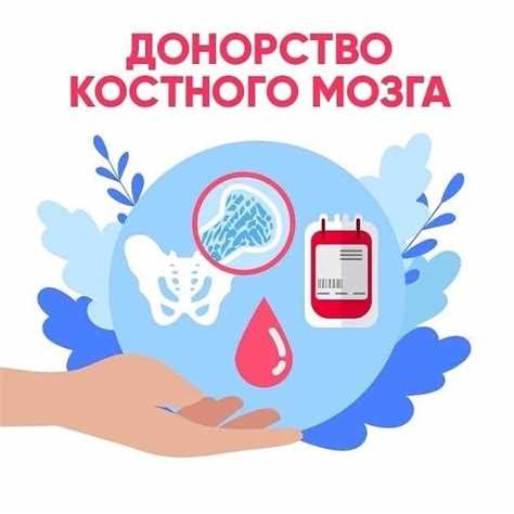 Почему донорство плазмы в России дешевле, чем за рубежом?