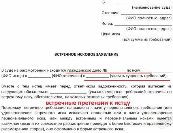 Порядок предъявления встречного иска в суде РФ